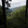 09 b Schluchensteig Etappe 4 - 6